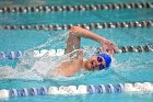 Swimming & Diving vs Babson  Swimming & Diving vs Babson College. - Photo by Keith Nordstrom : Wheaton, Swimming